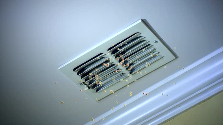 Reliable Palmhurst, TX Airduct Cleaning Solutions