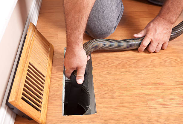 Best Local Air Duct Cleaning Services  in Palmhurst, TX