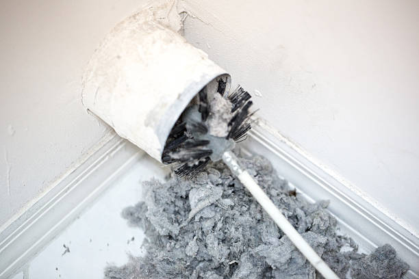 Best Air Duct Mold Removal  in Palmhurst, TX